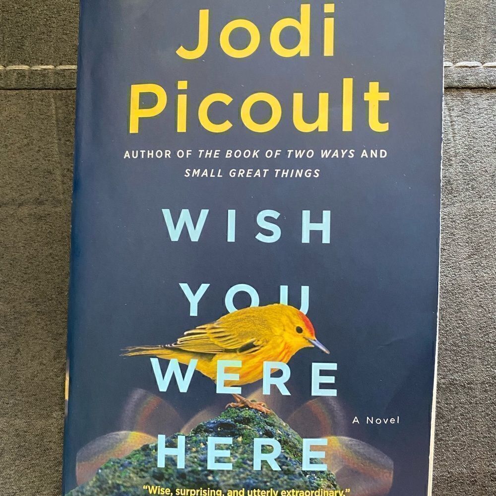 Wish You Were Here by Jodi Picoult